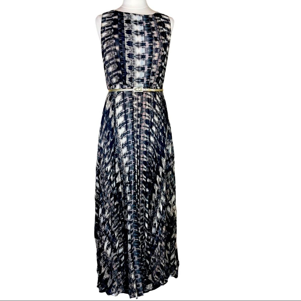 Eliza J Navy and White Maxi Dress